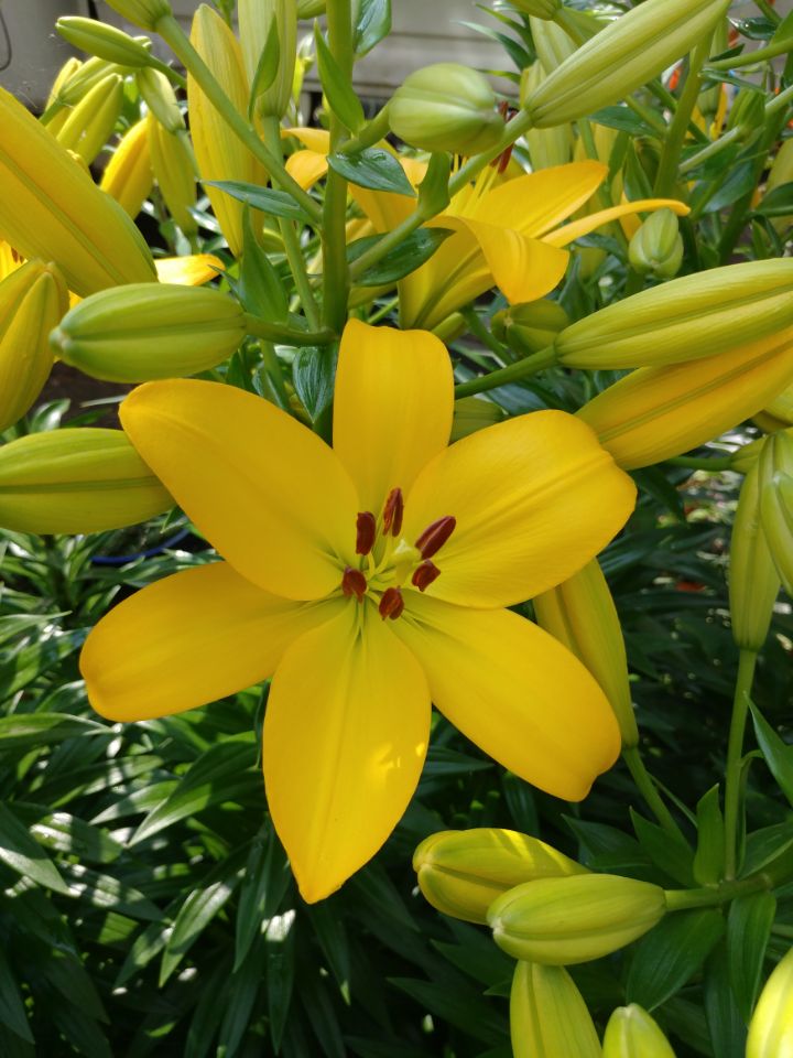 월롱패밀리 요양원 이미지 16