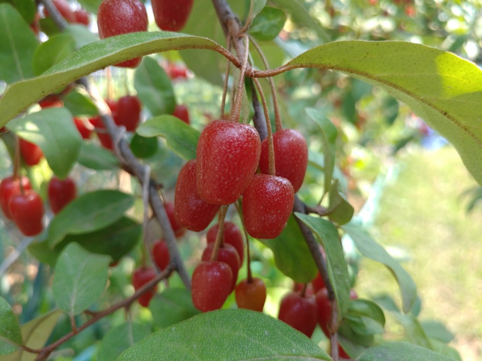 월롱패밀리 요양원 이미지 15