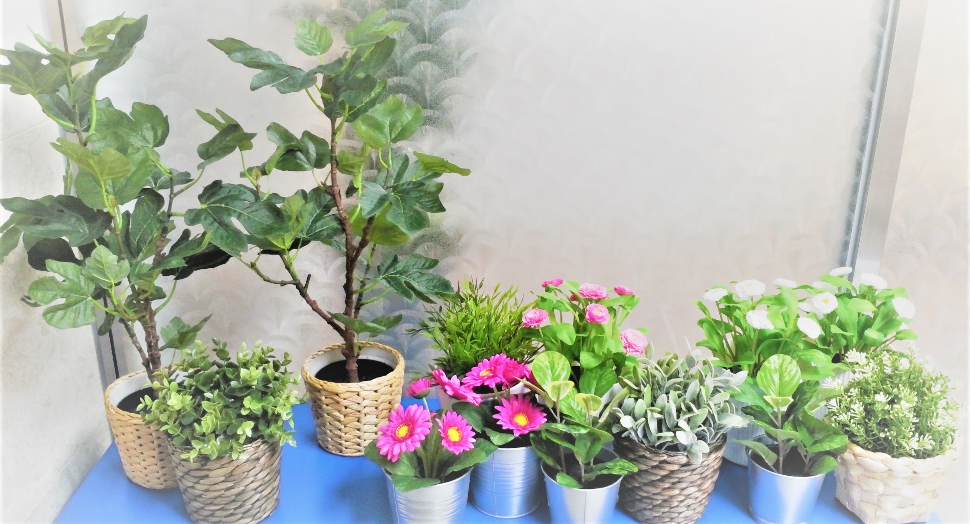 미소사랑요양원 이미지 13