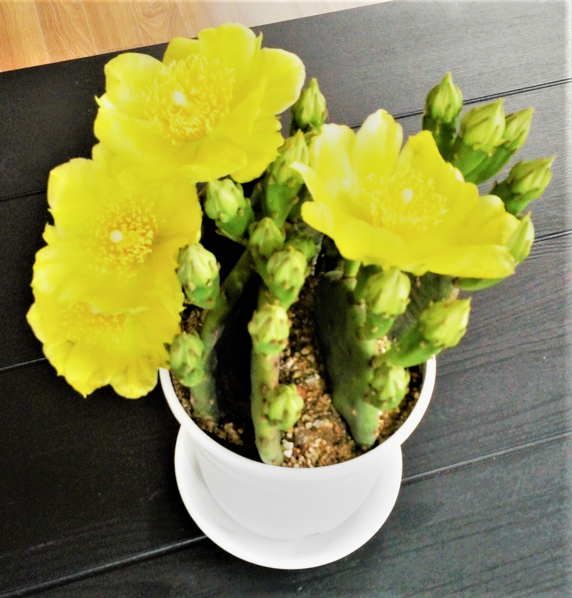 미소사랑요양원 이미지 12