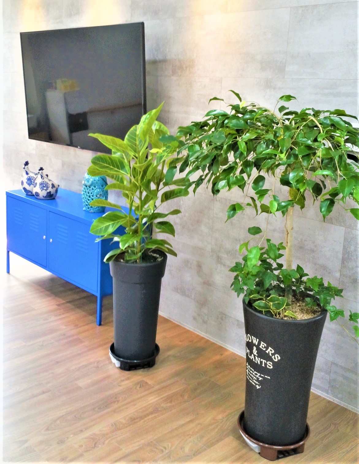 미소사랑요양원 이미지 8