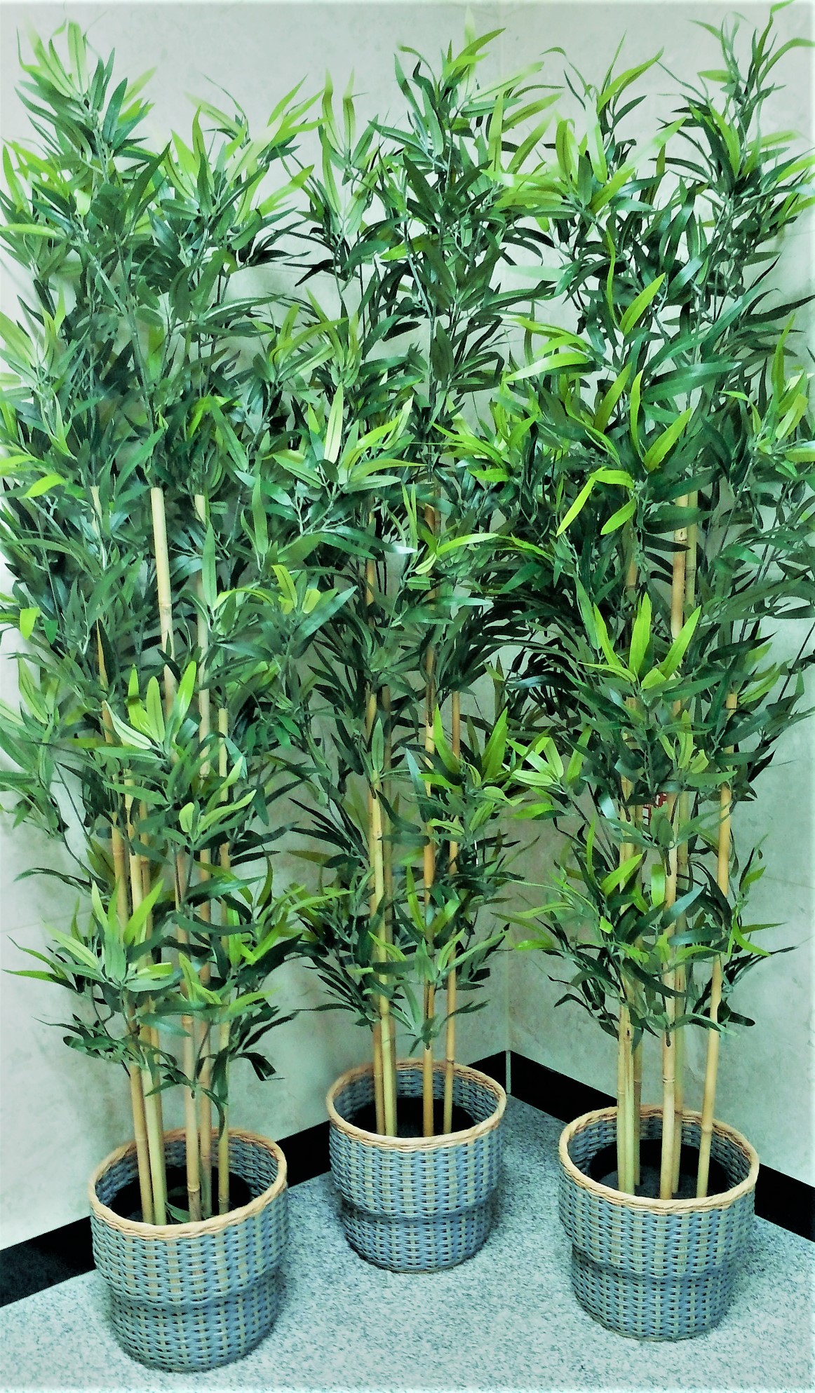 미소사랑요양원 이미지 10