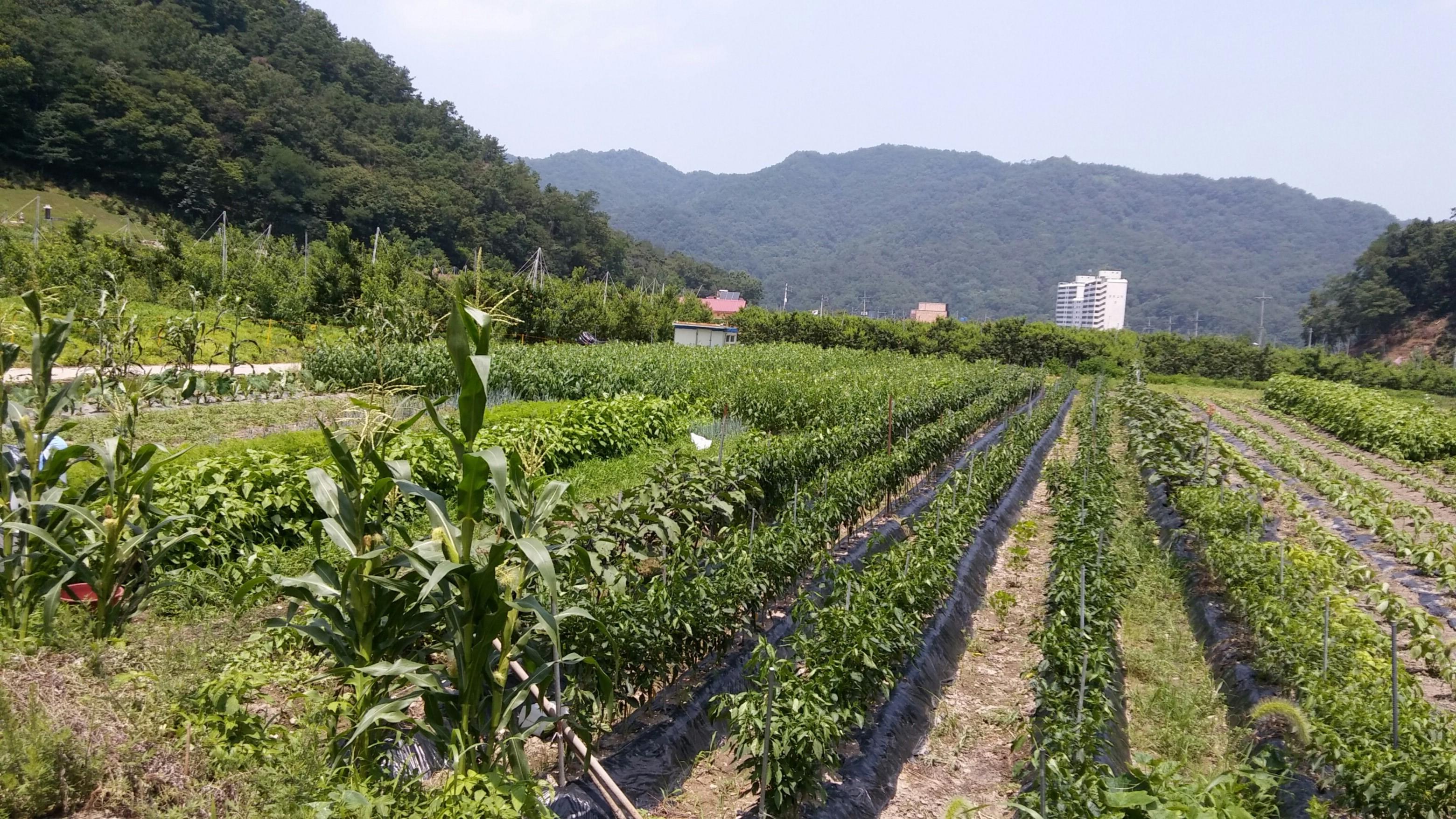 사랑마을아가페하우스 이미지 5