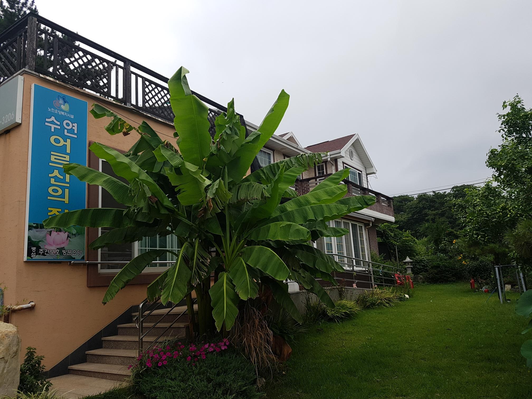 수연어르신의집