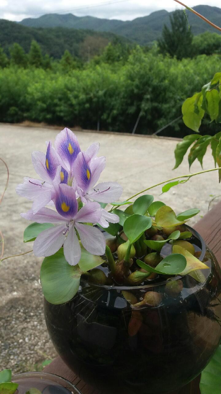 예함의집 이미지 30