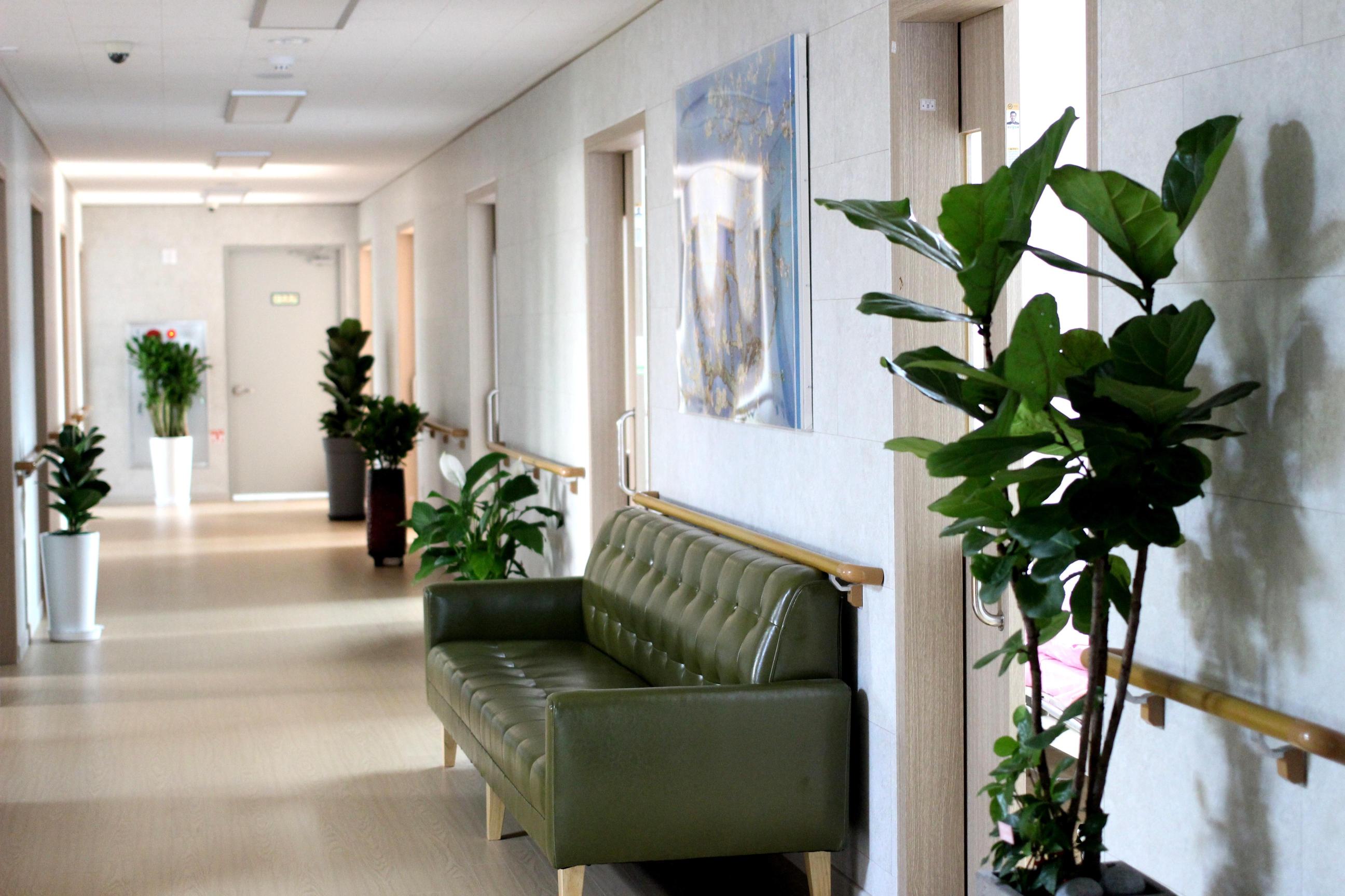 청춘요양원 이미지 11