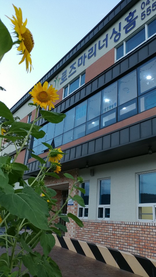 로즈마리너싱홈 이미지 3