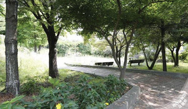 천안실버안요양원