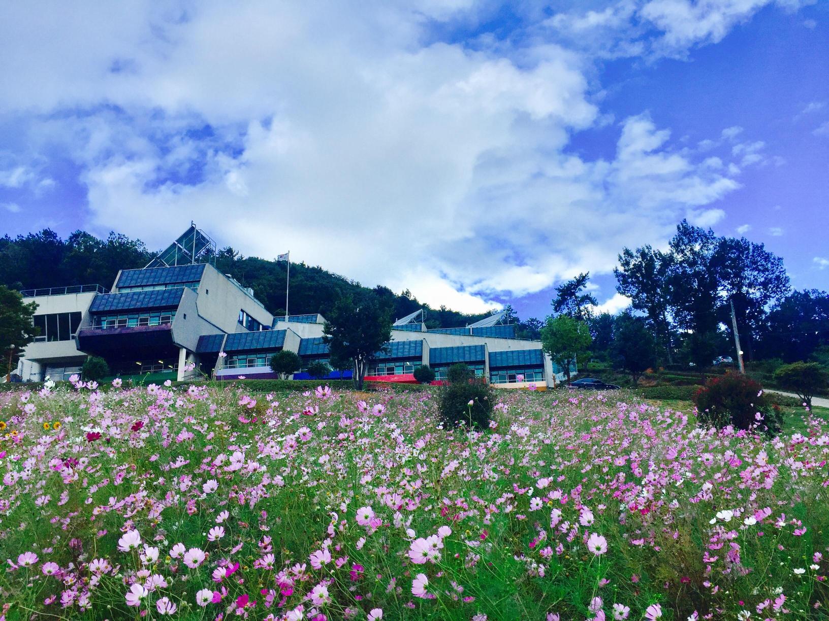 사회복지법인 자혜복지재단 노량실버타운 이미지 3