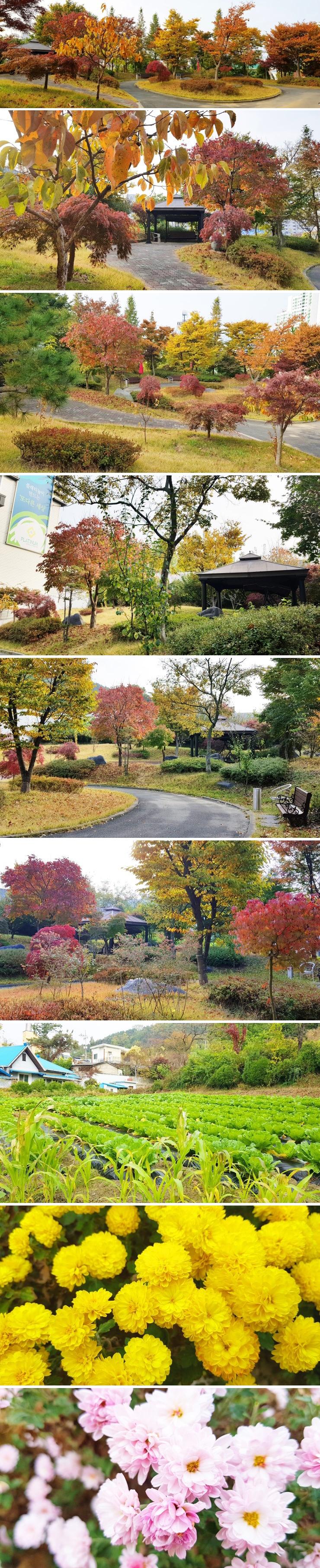 플래티늄 이미지 22