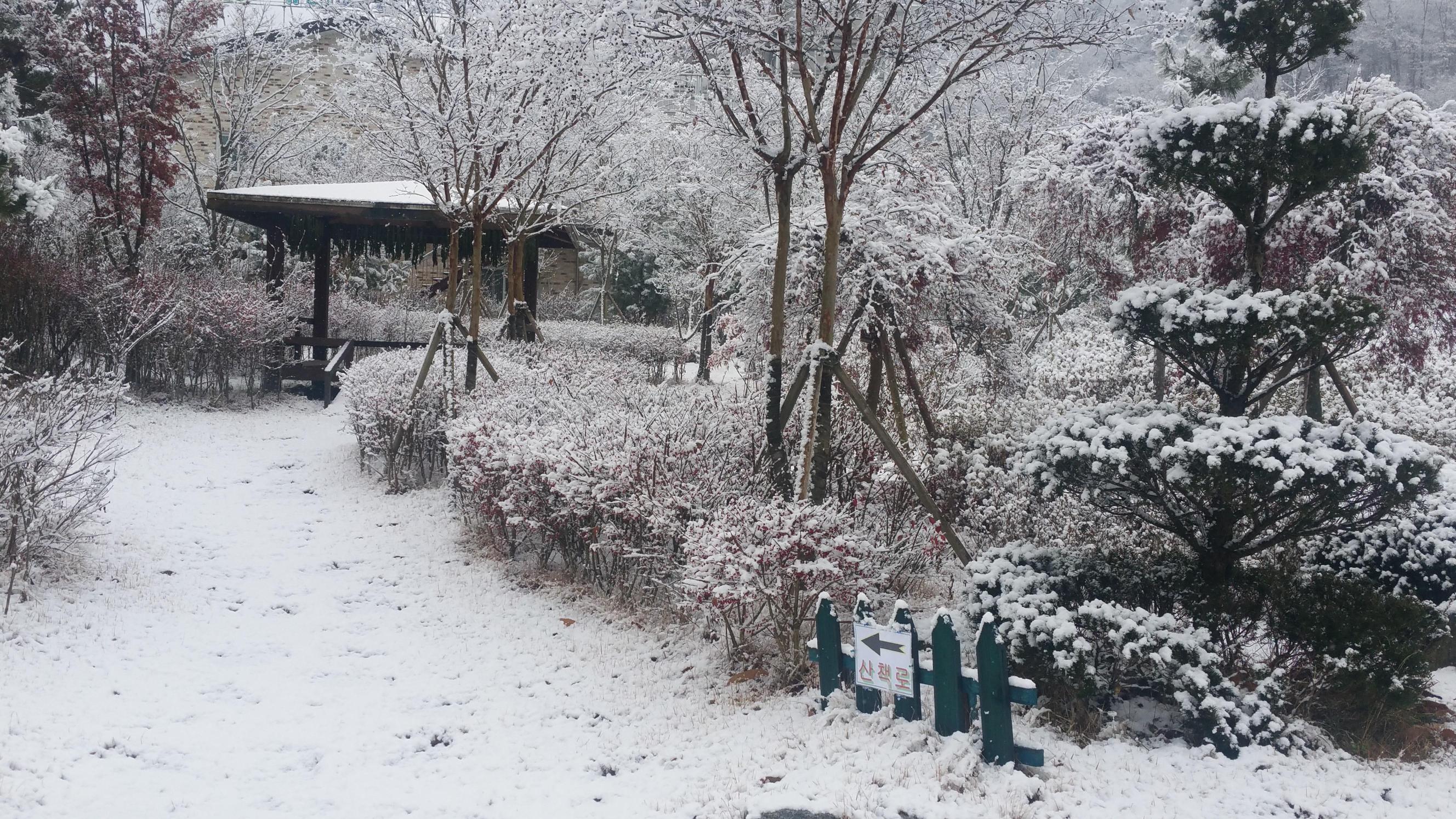 사랑마을아가페하우스 이미지 4