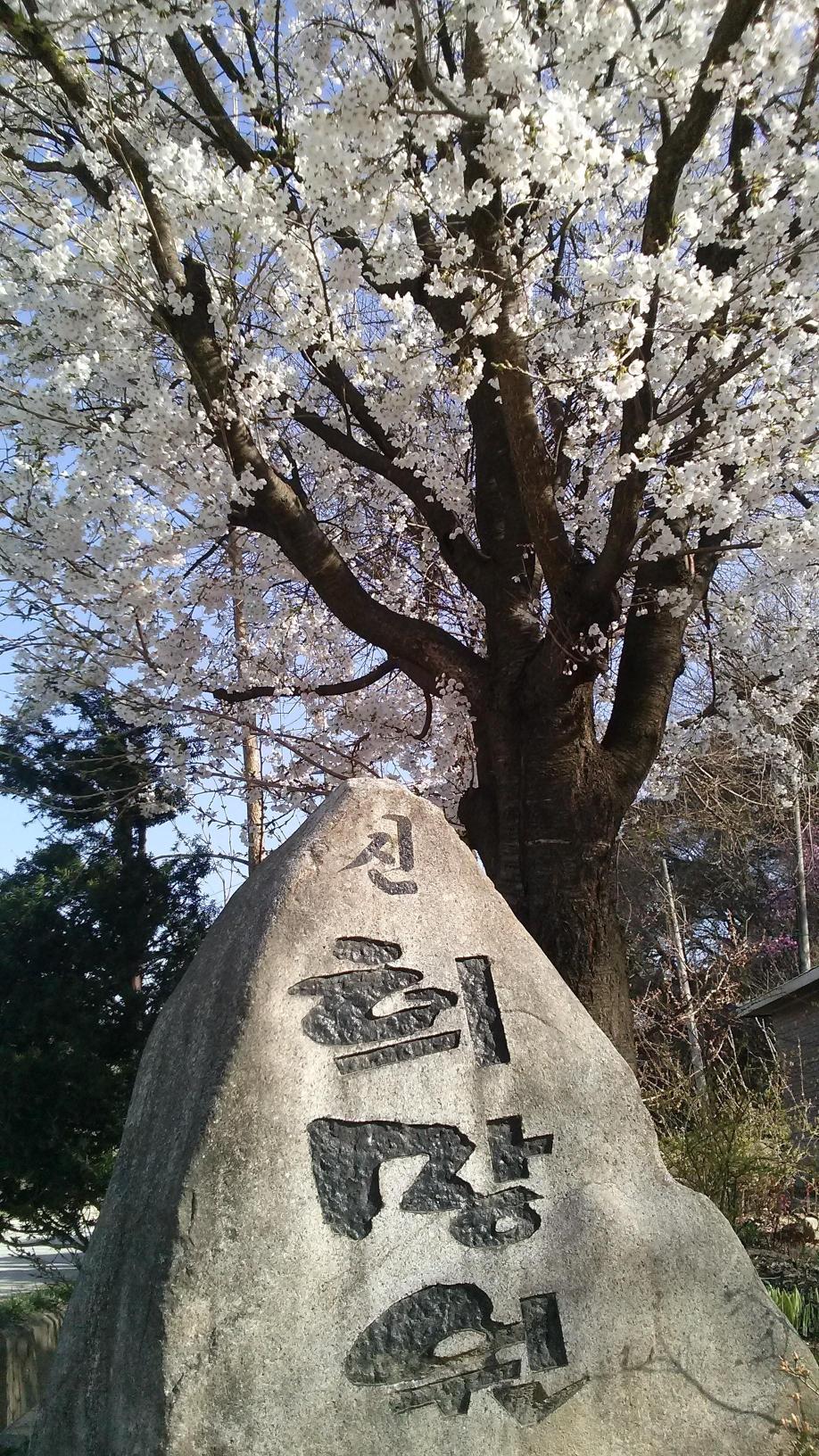 신희망원 이미지 3