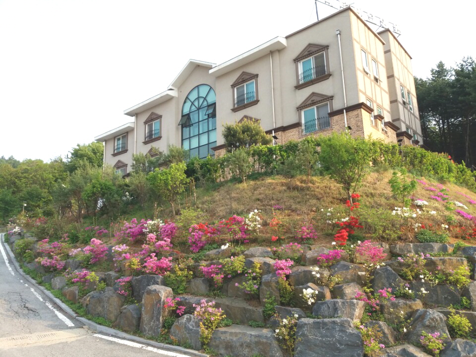 비타민너싱홈 이미지 5