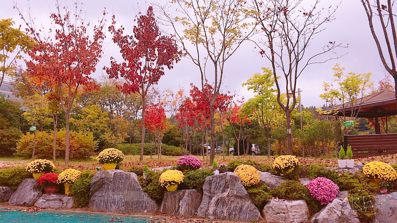 내와동산 이미지 5