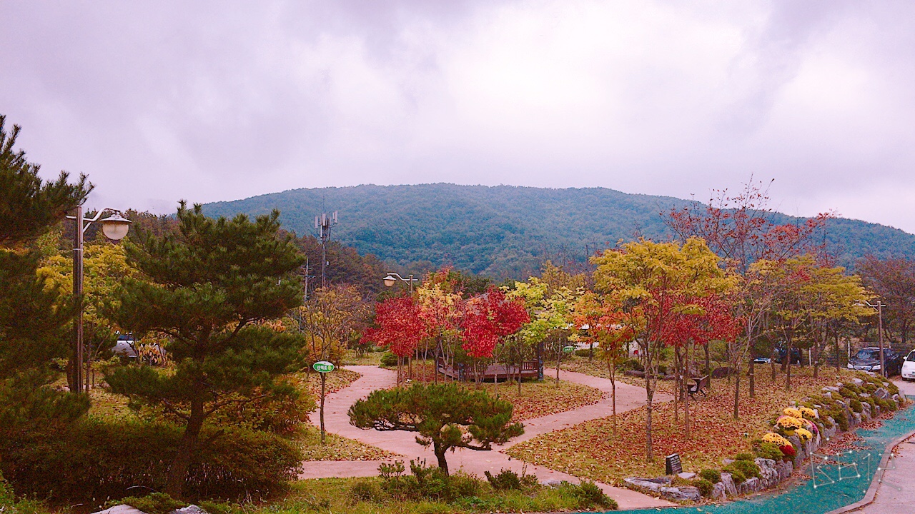 내와동산 이미지 4