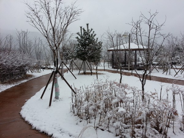 내와동산 이미지 3