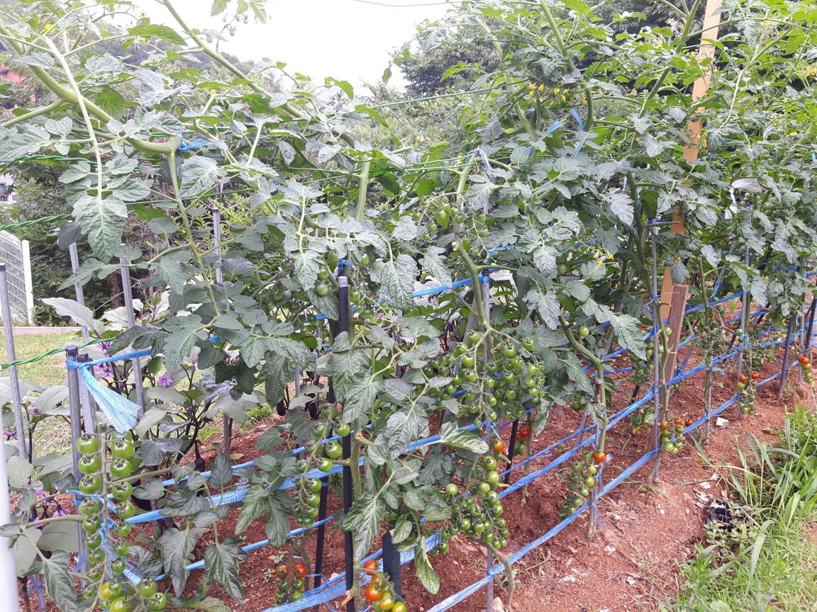 일산 수 요양원 이미지 3