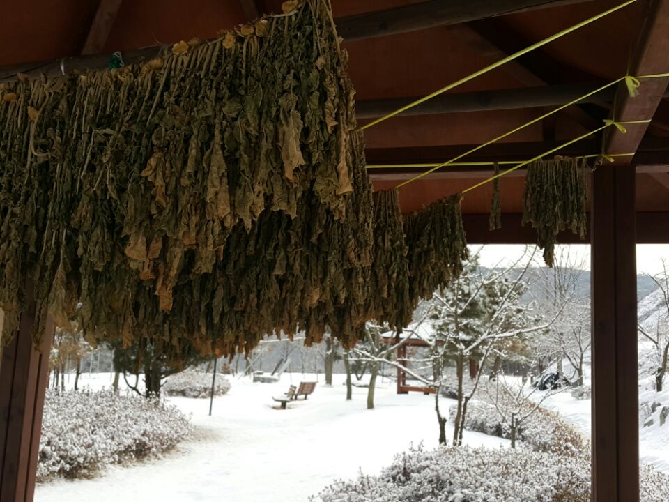 너브내노인전문요양원 이미지 31