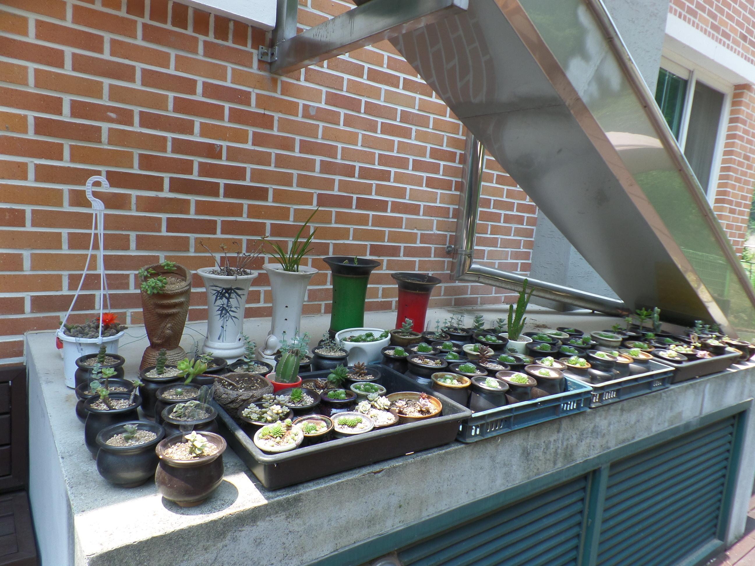 홍천군노인요양원 이미지 2