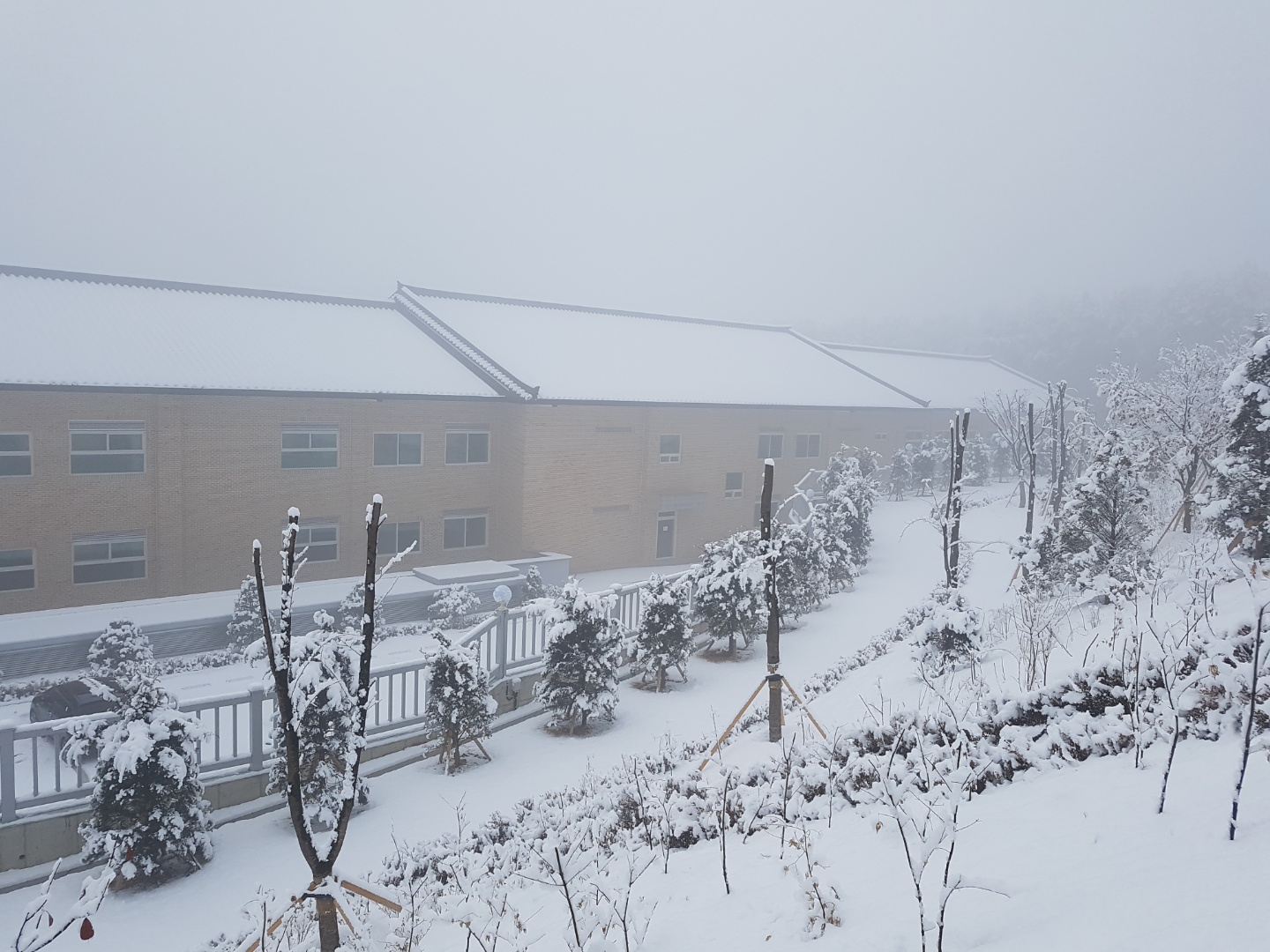 양주대진요양원 이미지 14