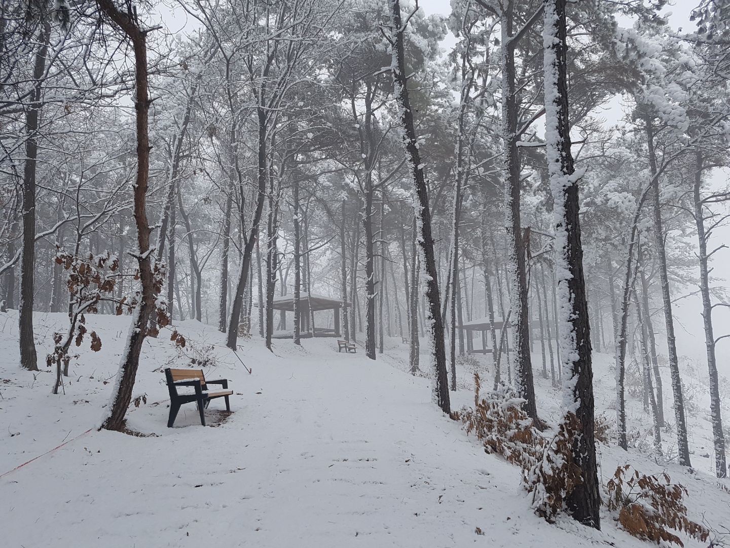 양주대진요양원 이미지 13