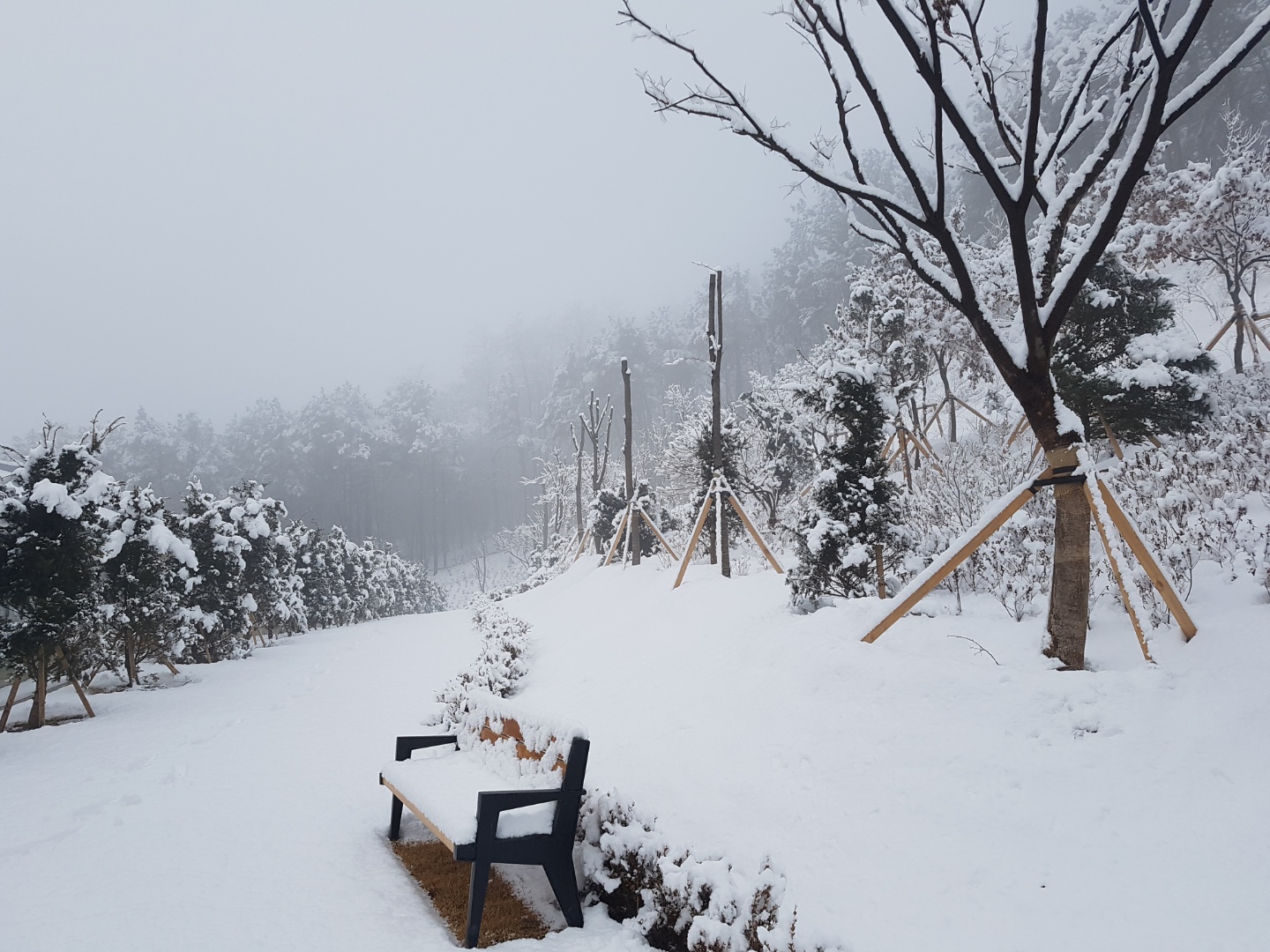 양주대진요양원 이미지 12