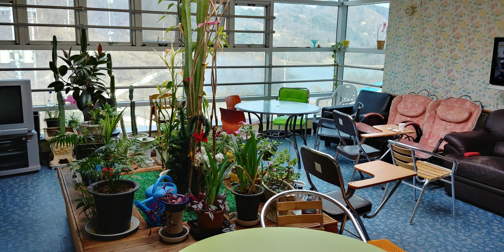 들꽃마을 이미지 8