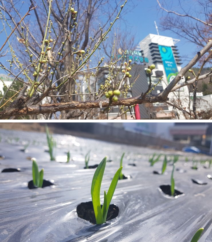 플래티늄 이미지 21