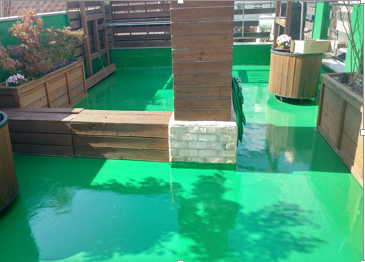 해피안 이미지 2