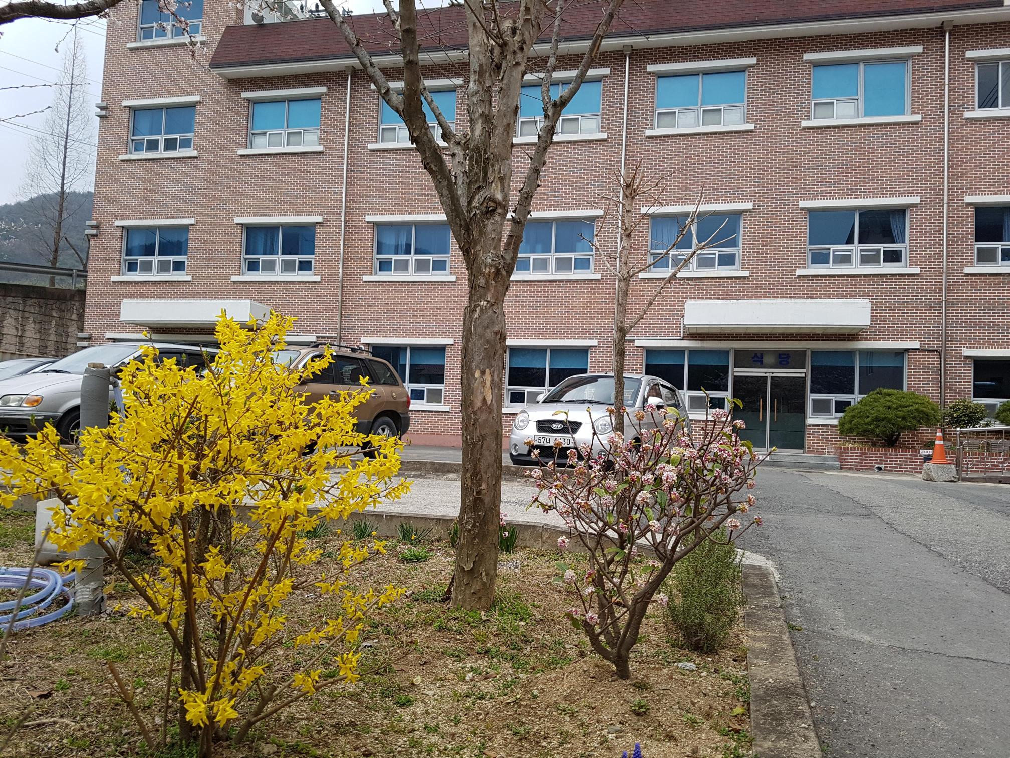 창원성심요양원