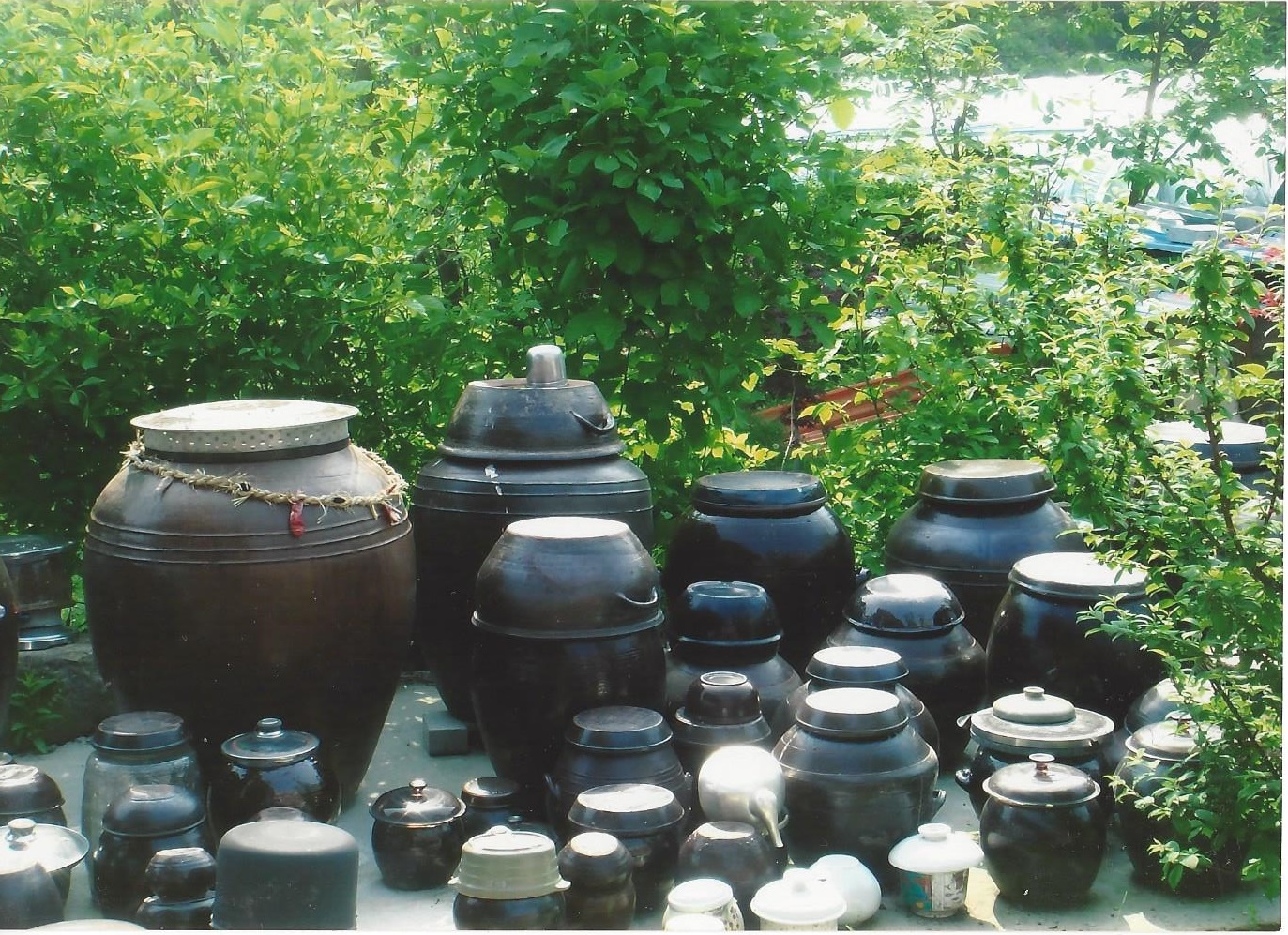 성주유진요양타운 이미지 2