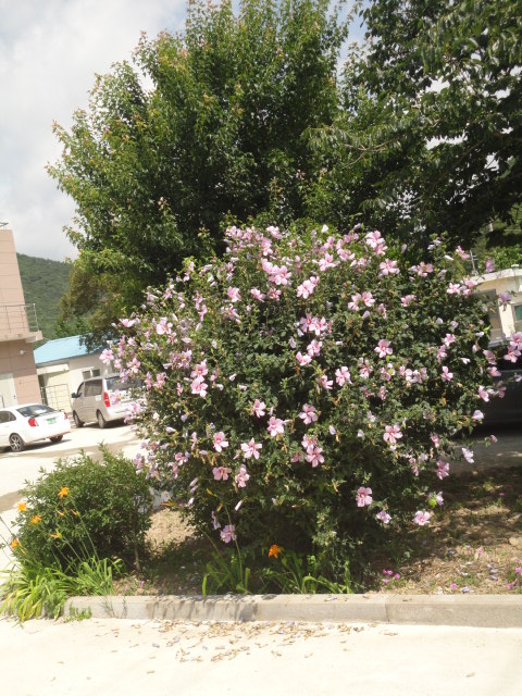 한올생명의집 이미지 3