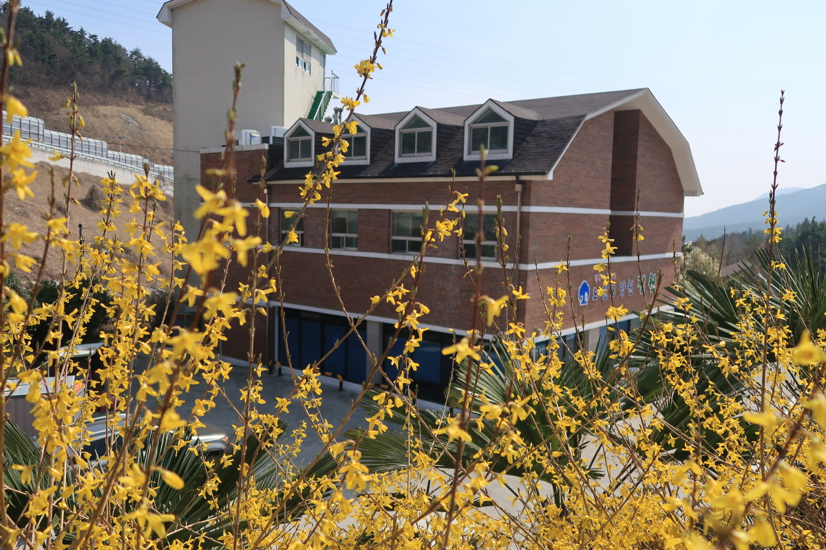 노인요양원 정원 이미지 3