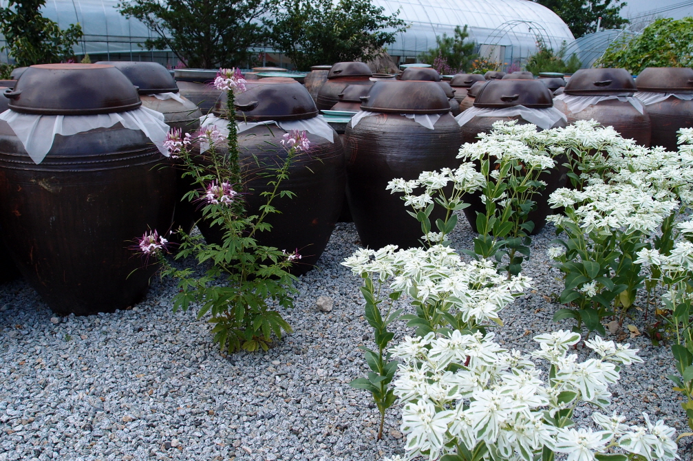 한마음요양원 이미지 6