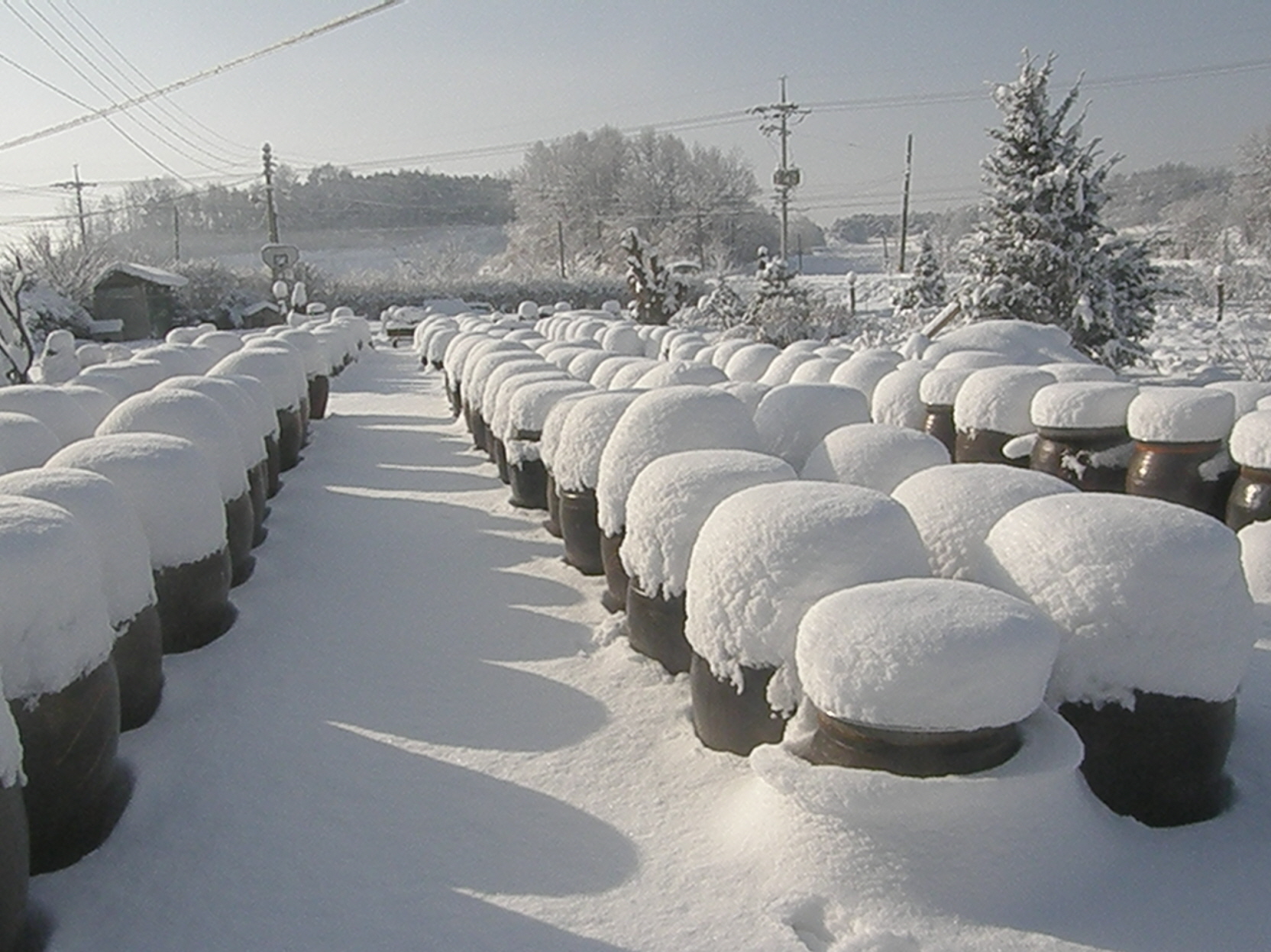 한마음요양원 이미지 3