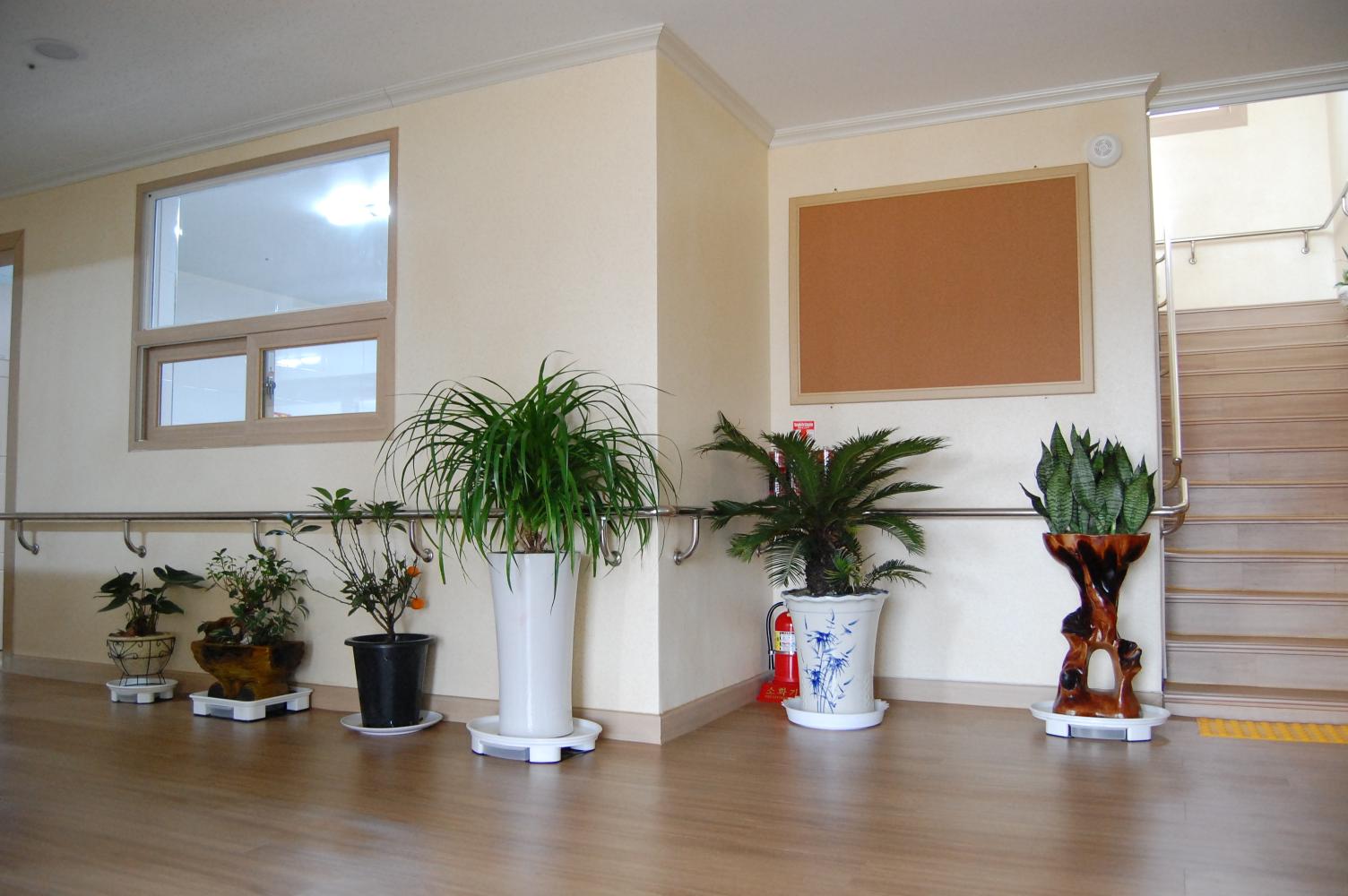 청남요양원 이미지 12