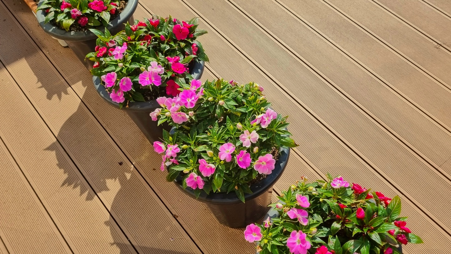 성녀모니카의집요양원 이미지 24