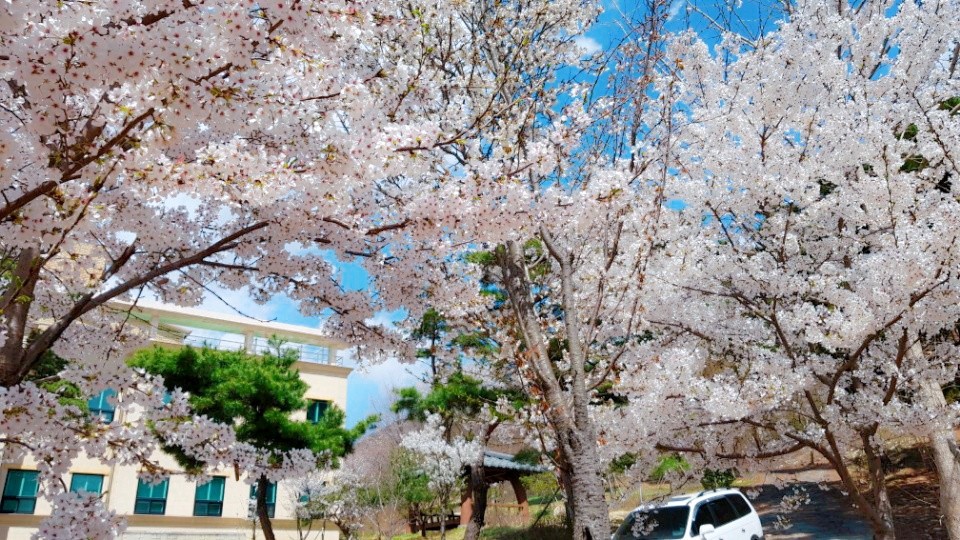 아산설화요양원 이미지 21