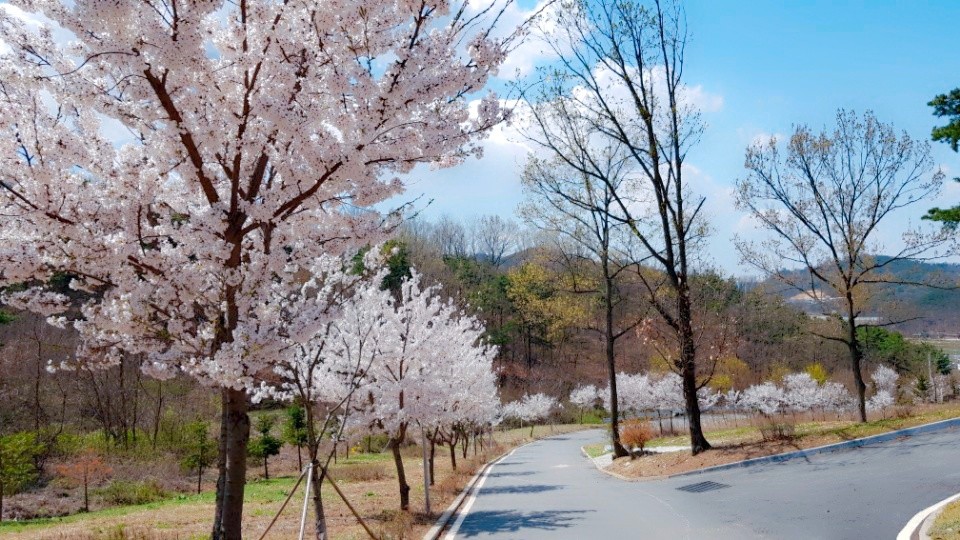 아산설화요양원 이미지 20