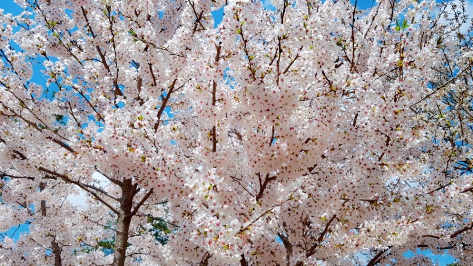 아산설화요양원 이미지 19