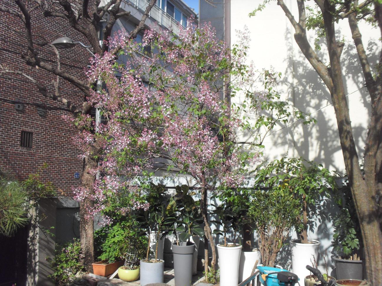 주안요양원 이미지 8