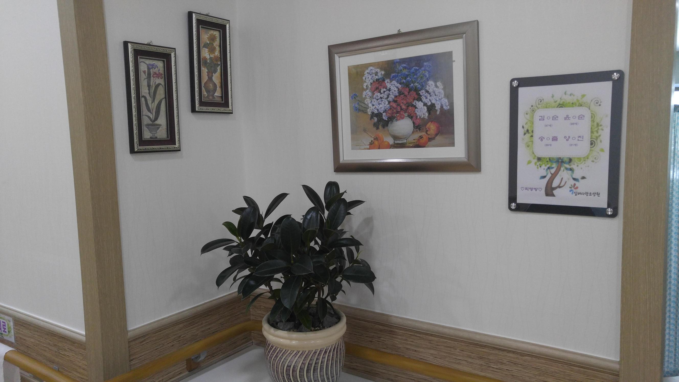 실버사랑요양원 이미지 2