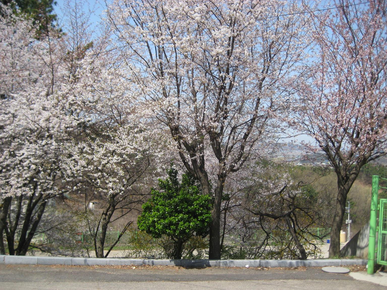 성민쉼터 이미지 5