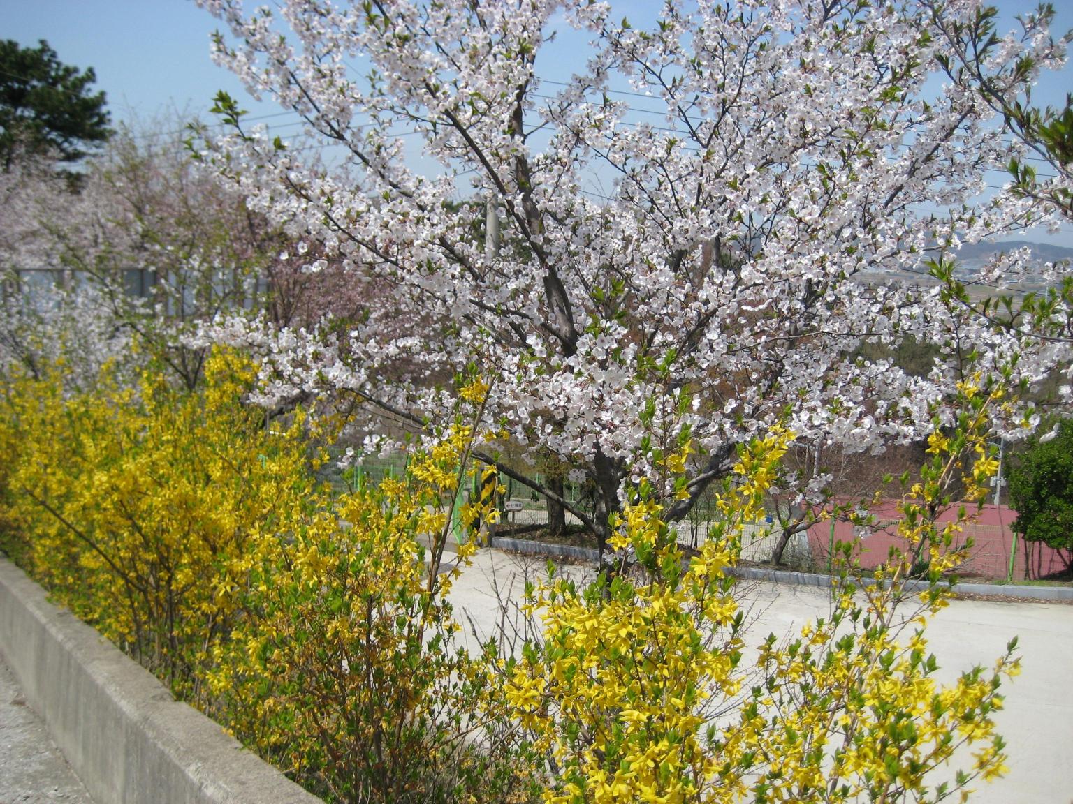 성민쉼터 이미지 4