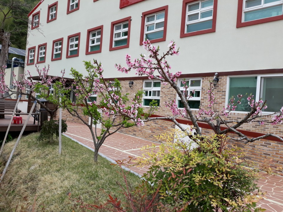 도리원 이미지 6