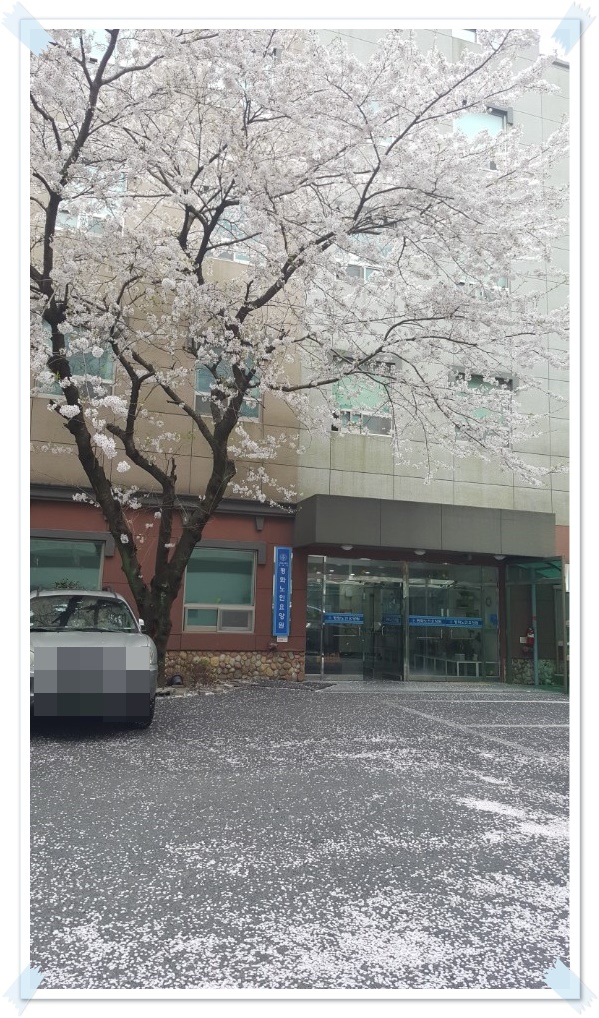 평화노인요양원 이미지 4