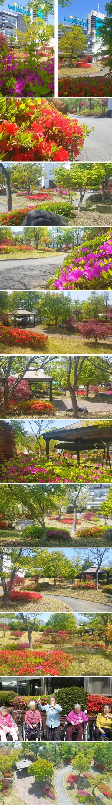 플래티늄 이미지 20