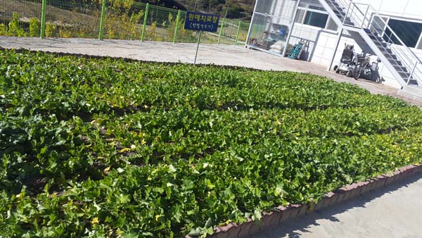 세진요양원 이미지 21