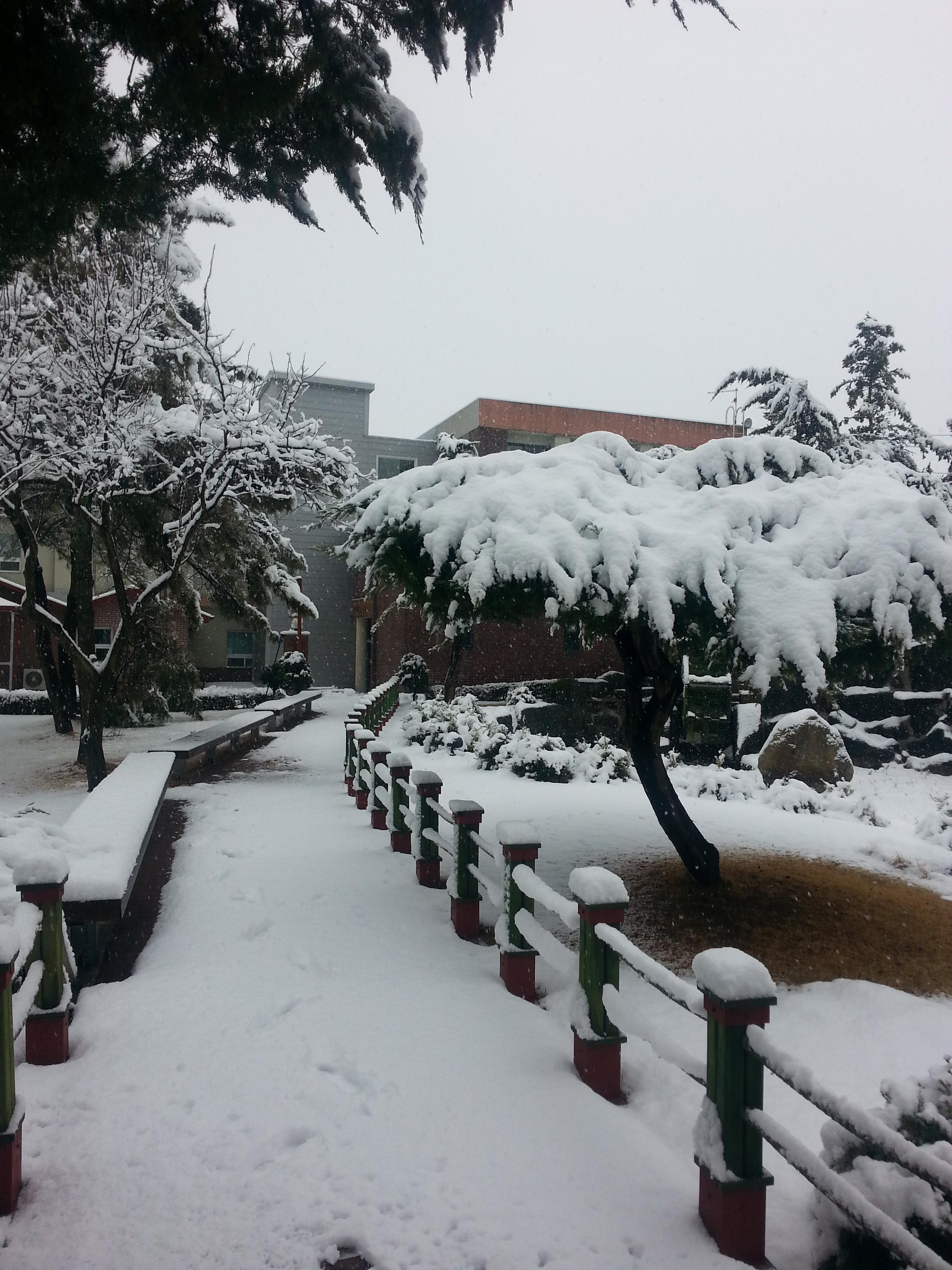 도리원 이미지 3