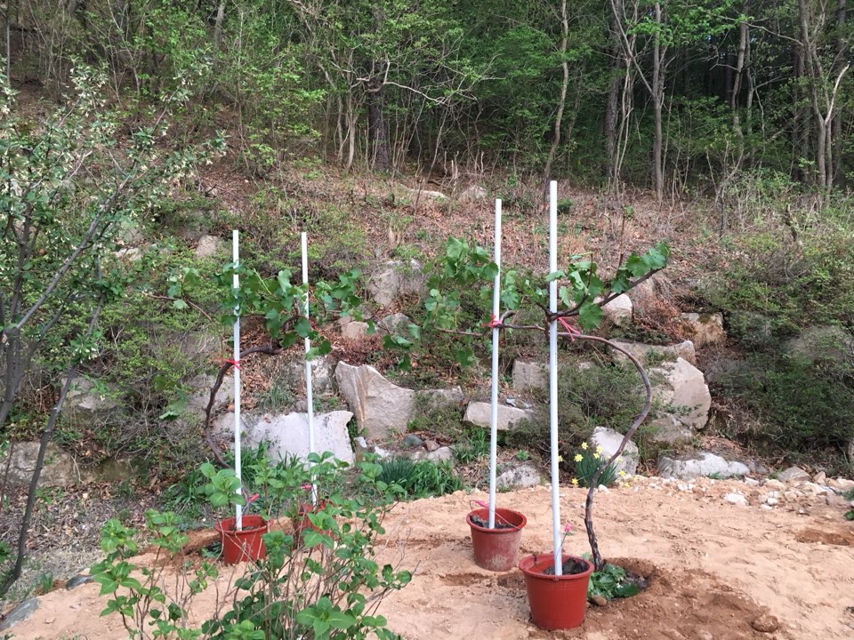 낮은둥지공동체 이미지 2